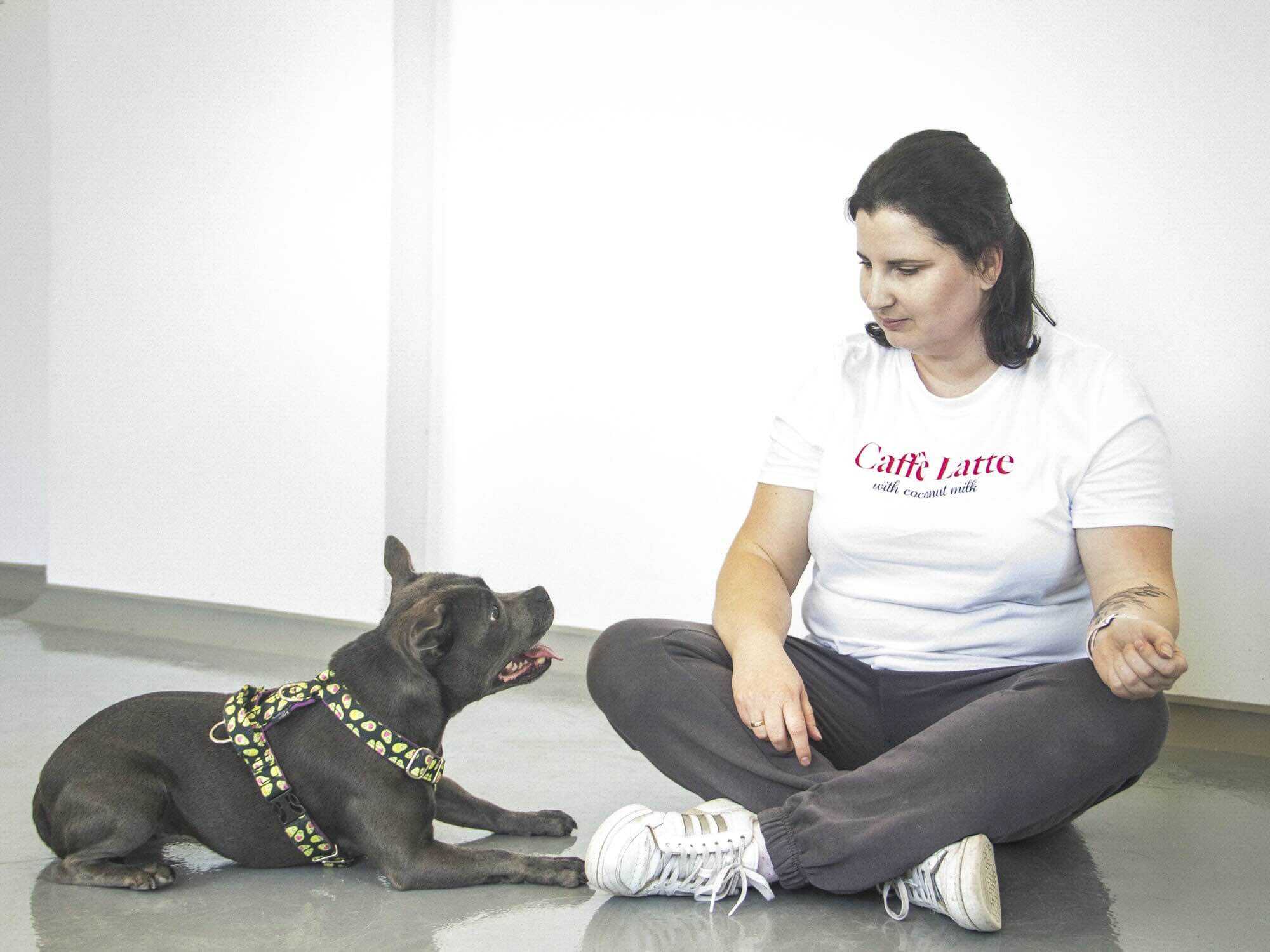 Nosework i szkolenie psów