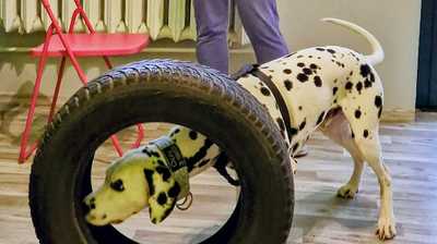 Zdjęcie od Joanna Suchanek